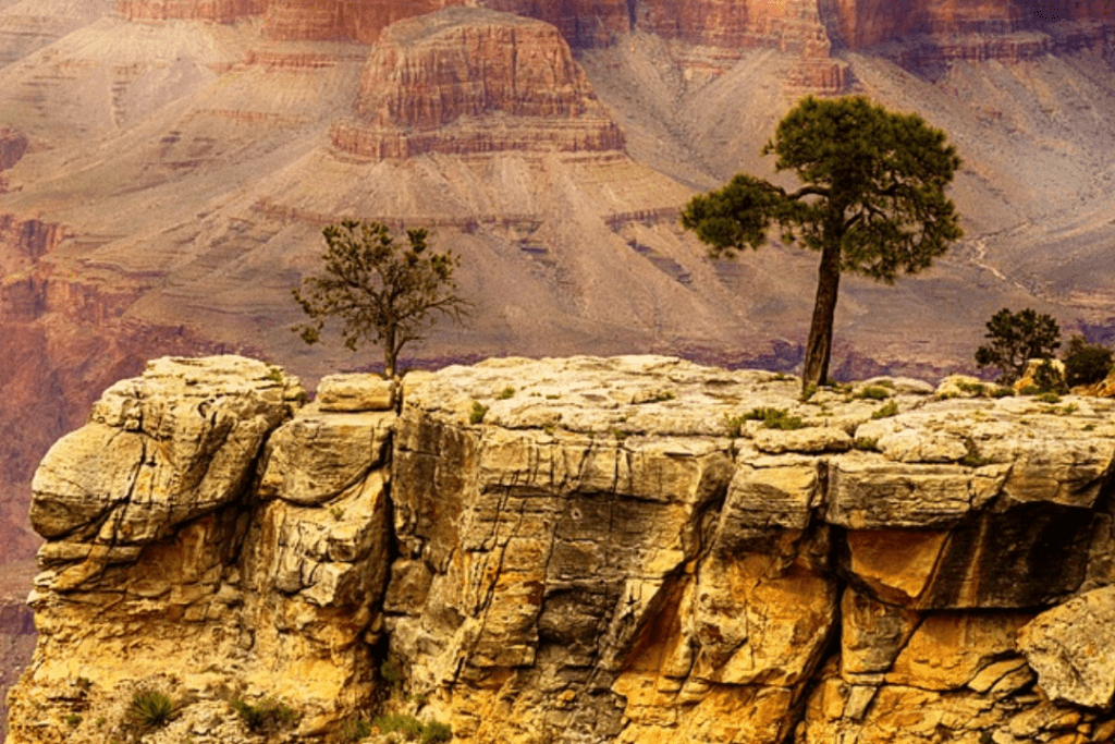 Grand Canyon National Park