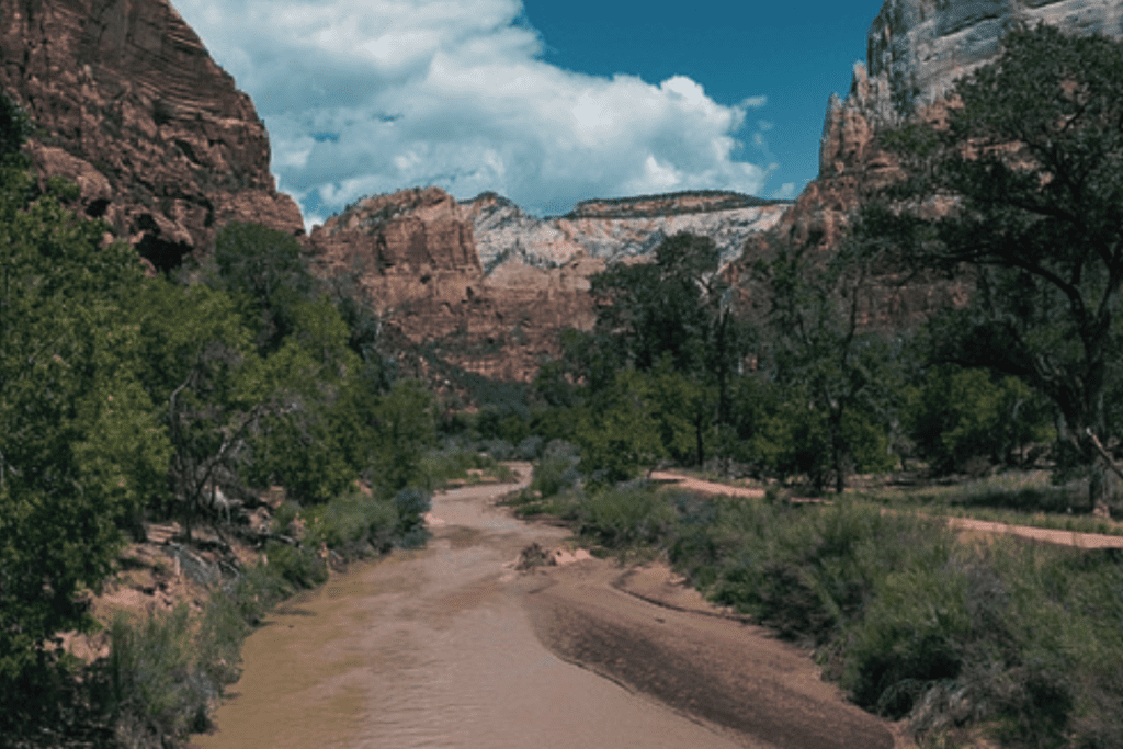 Zion National Park